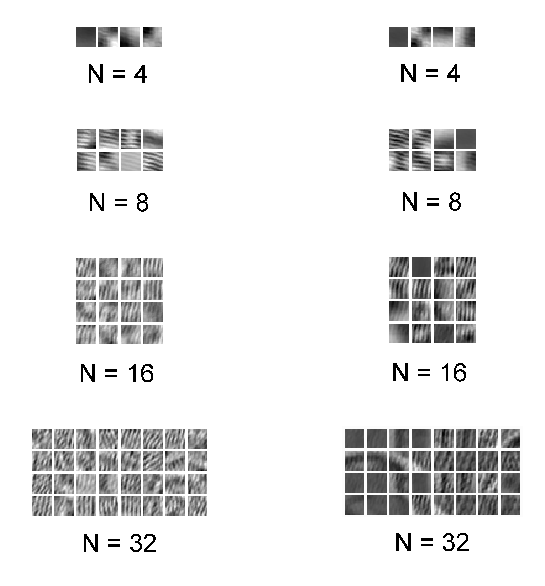 Sparse coding of the Barbara image